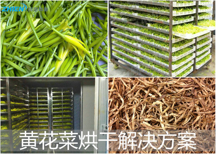 黃花菜烘干機(jī)解決黃花菜干燥難點-空氣能熱泵廠家