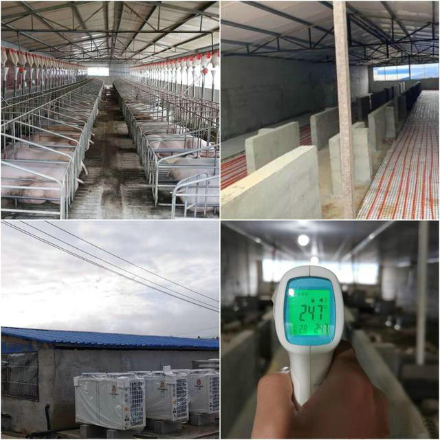 養(yǎng)殖采暖設備為何推薦空氣能熱泵？-空氣能熱泵廠家
